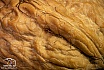lecker so eine Walnuss - Makroaufnahmen