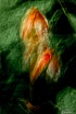 NEUE BILDER