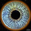 Irisfotografie - NEUE BILDER