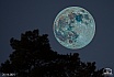 Supermond über Zeuthen - NEUE BILDER