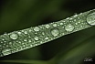 Faszination Regen - NEUE BILDER