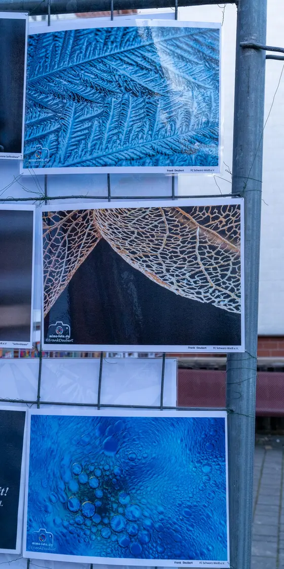 Foto von einer Ausstellung (Bild 9)