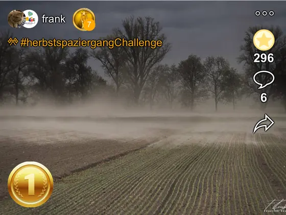 Wettbewerbsfoto (Bild 8)