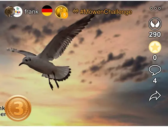 Platz 3 bei der MöwenChallenge