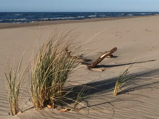 Landschaftsfoto von der Ostsee (Bild 5)