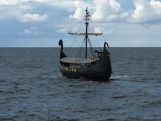Landschaftsfoto von der Ostsee (Bild 8)