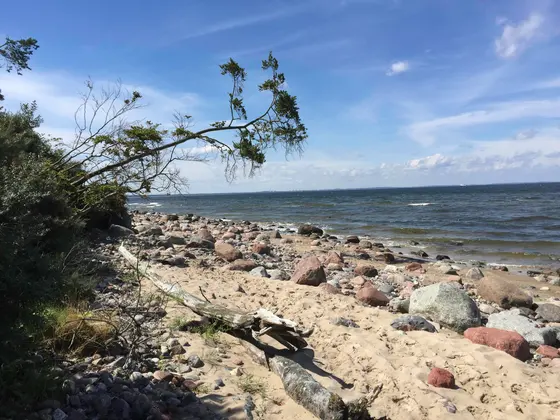 Landschaftsfoto von der Ostsee (Bild 12)
