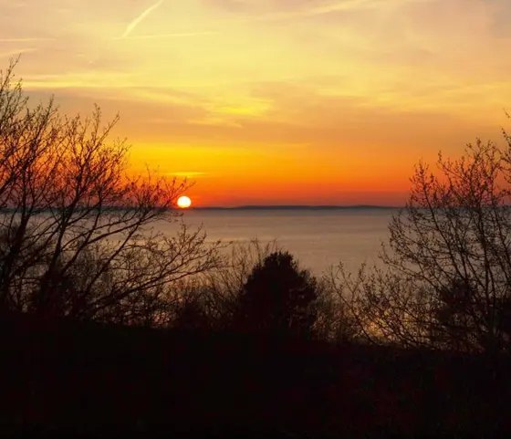 Landschaftsfoto von der Ostsee (Bild 21)