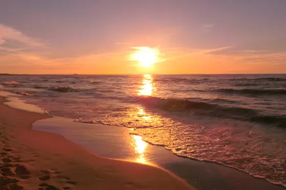 Landschaftsfoto von der Ostsee (Bild 22)