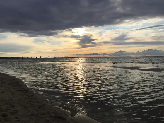 Landschaftsfoto von der Ostsee (Bild 23)