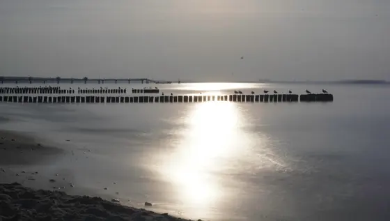 Landschaftsfoto von der Ostsee (Bild 27)