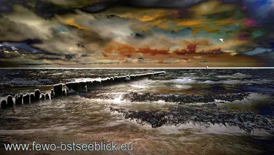 Landschaftsfoto von der Ostsee (Bild 28)