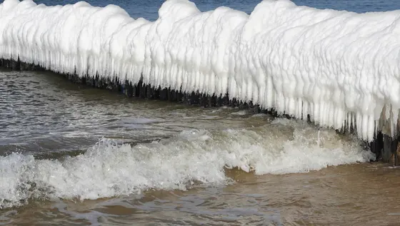 Landschaftsfoto von der Ostsee (Bild 32)