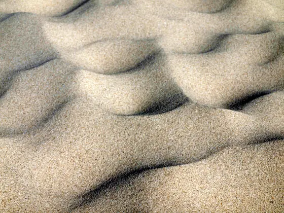 Landschaftsfoto von der Ostsee (Bild 42)