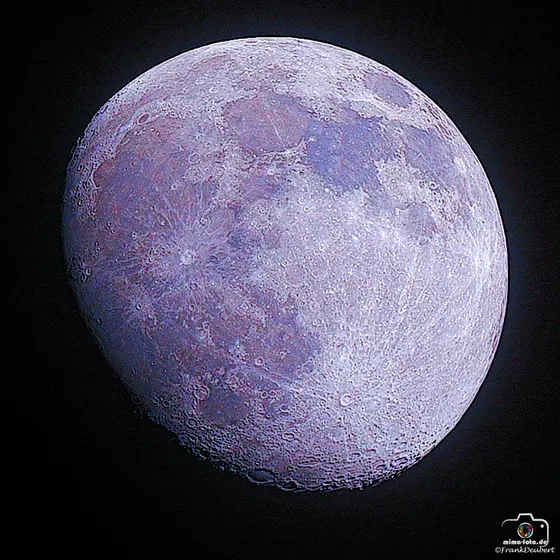 Naturfoto (Bild 10)