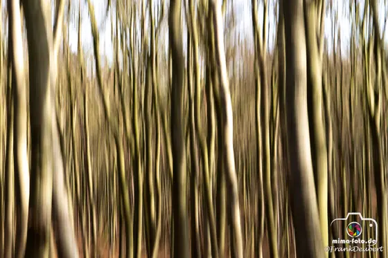 Naturfoto (Bild 16)