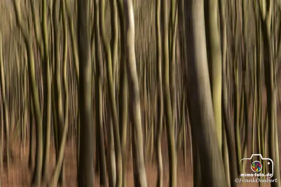 Naturfoto (Bild 18)